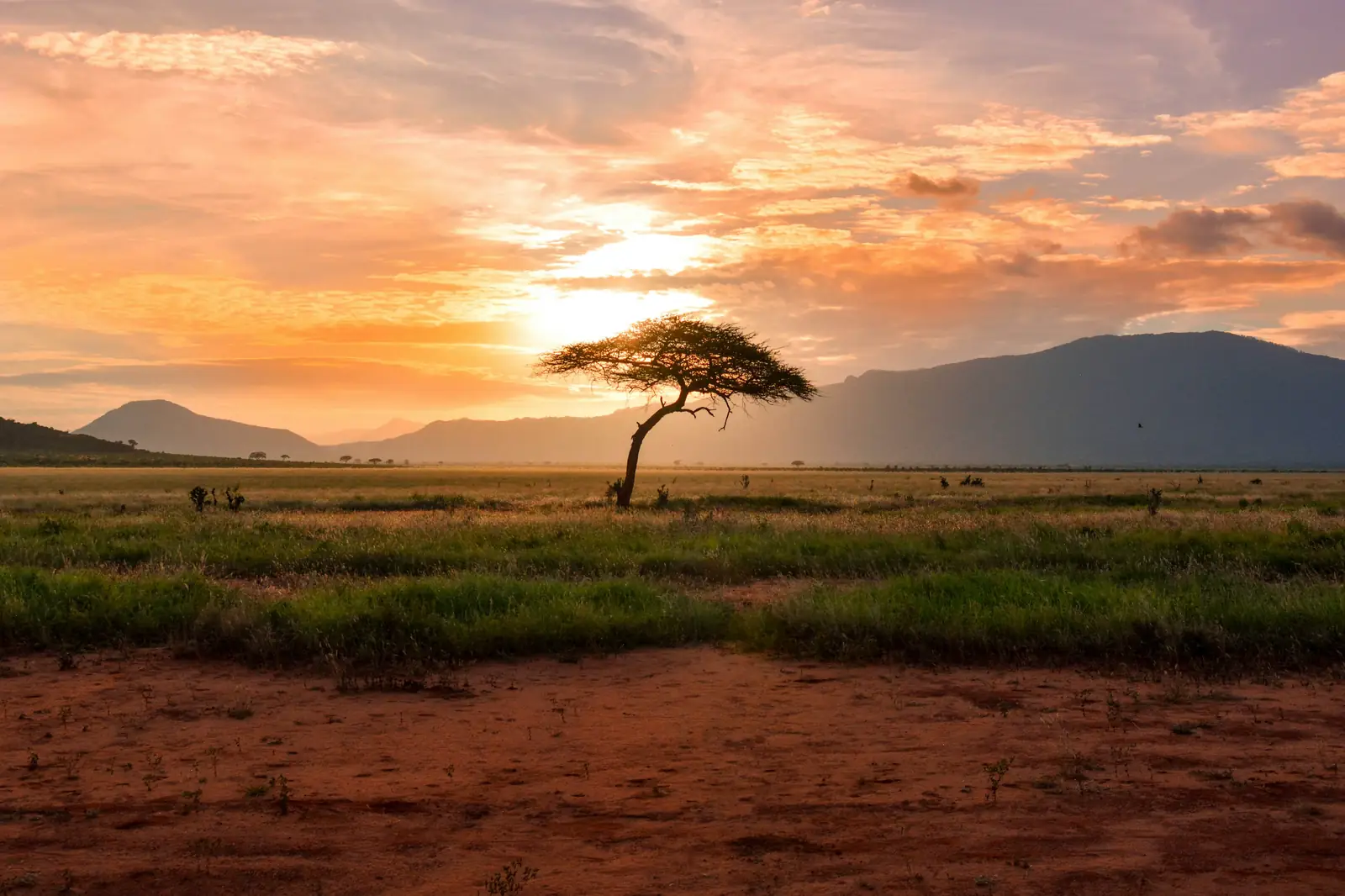 Africa landscape