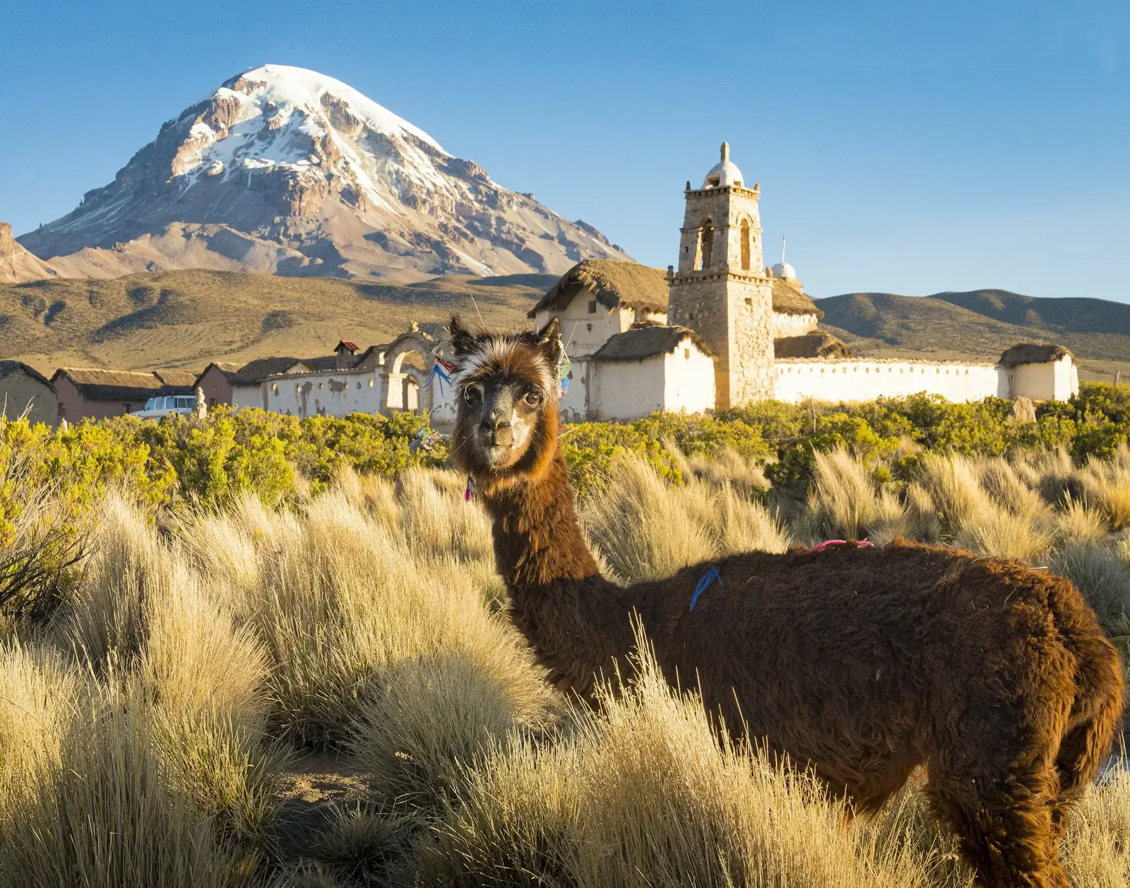 Bolivia landscape