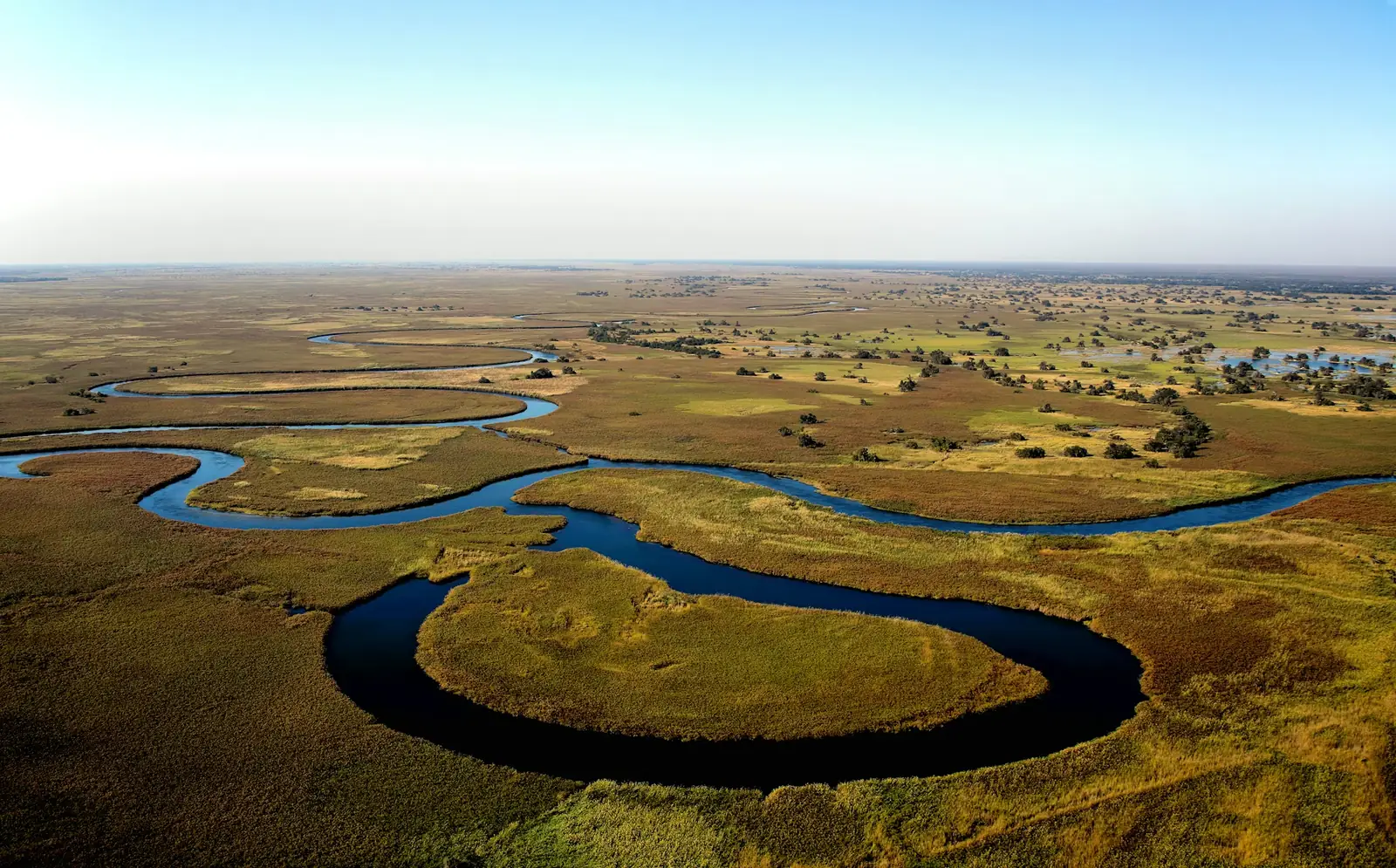 Botswana landscape
