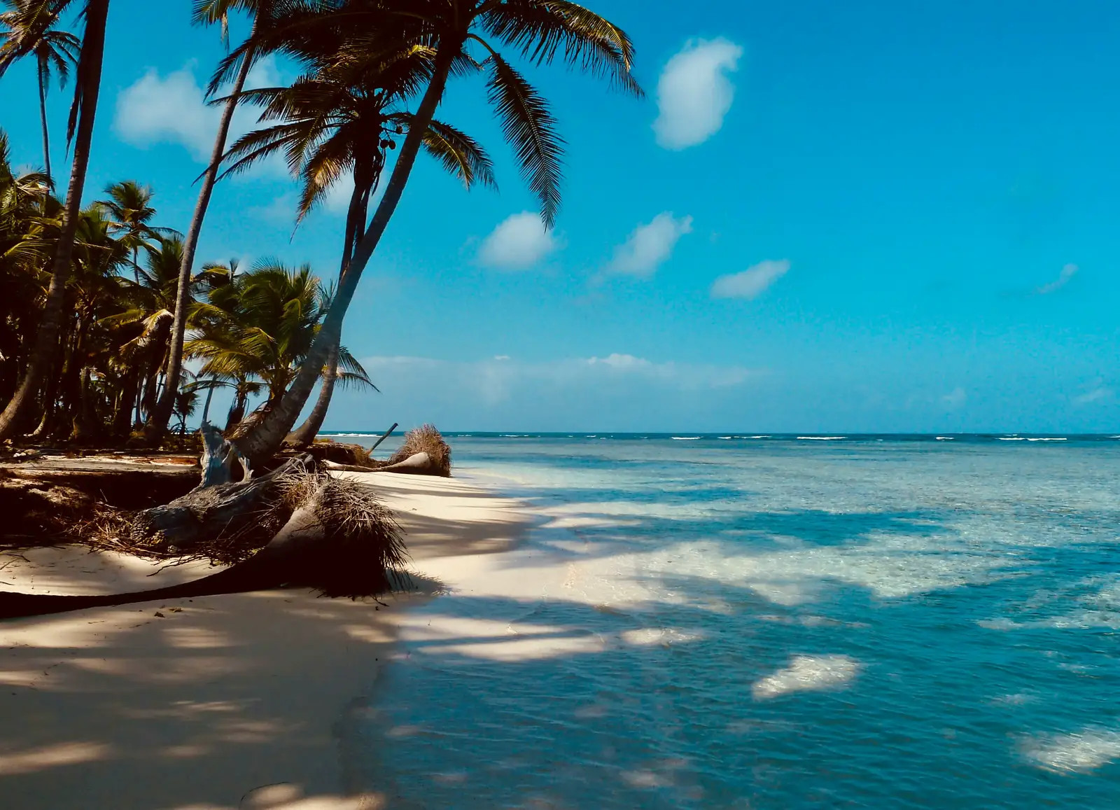 Caribbean landscape