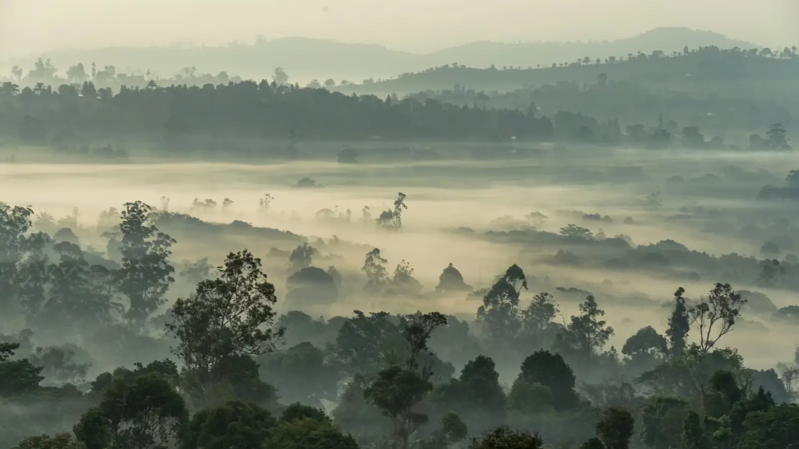 Cameroon landscape