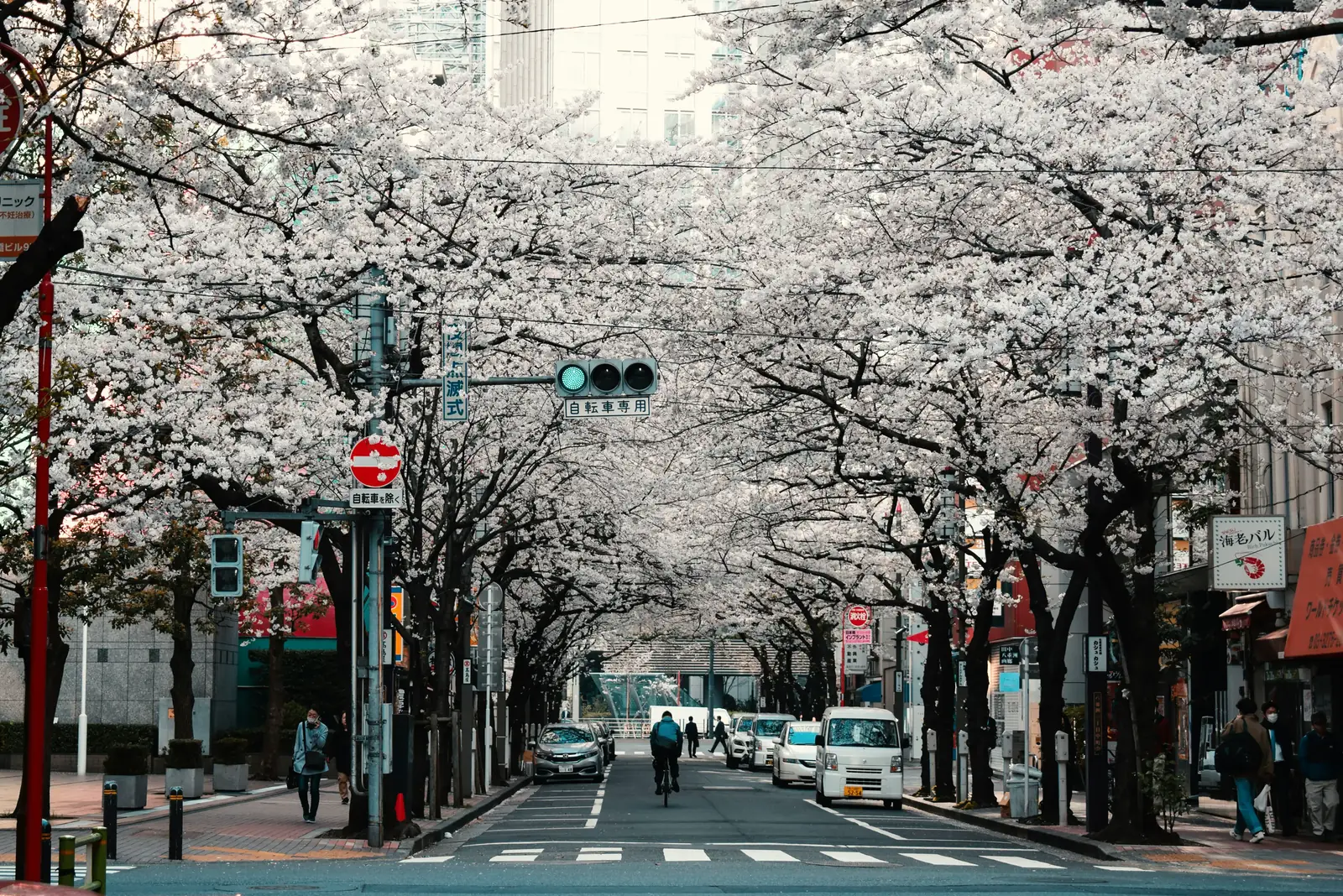 East Asia landscape