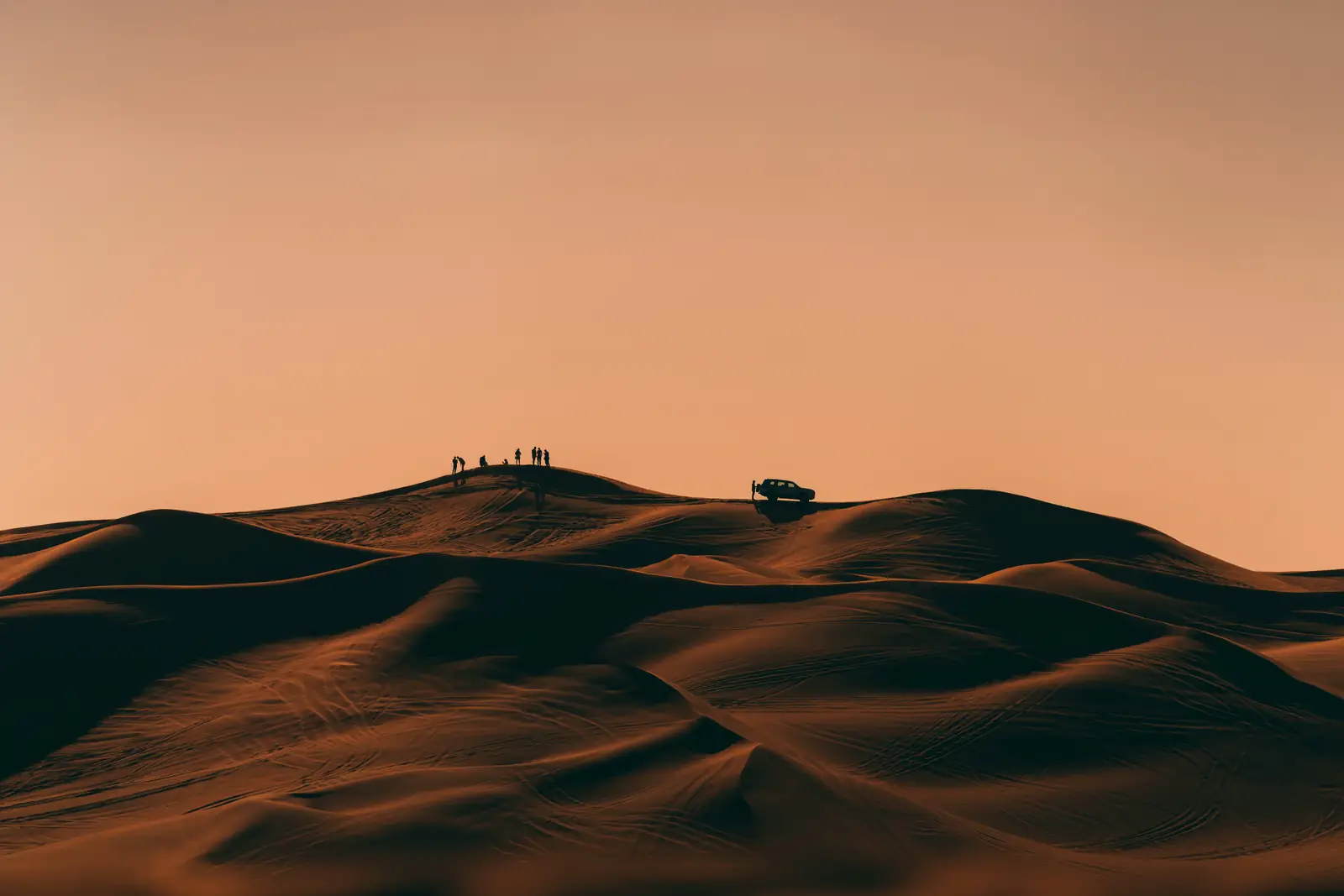 Middle East & North Africa landscape