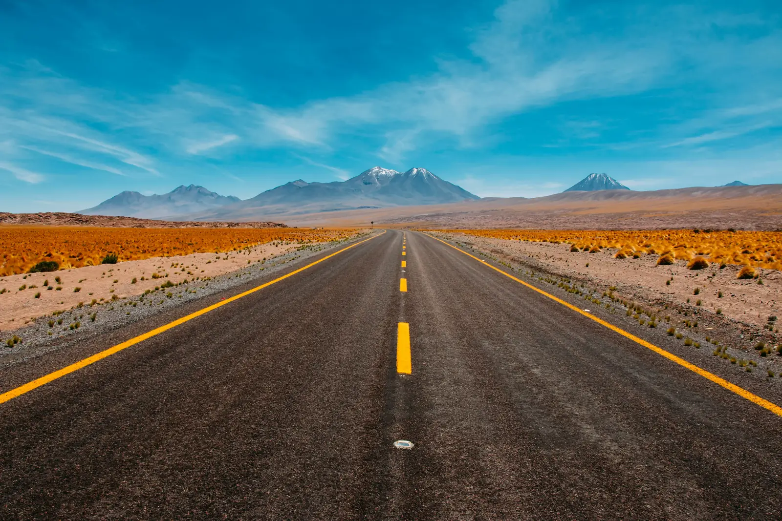 North America landscape