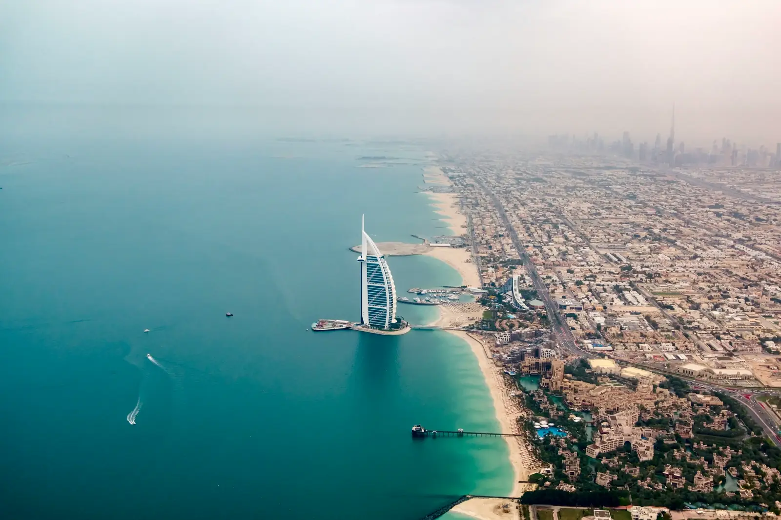Gulf States landscape