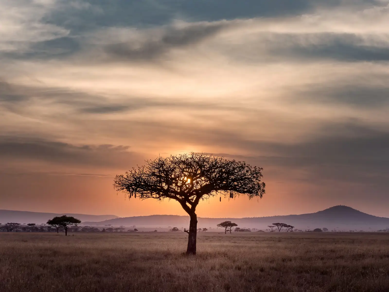 Tanzania landscape