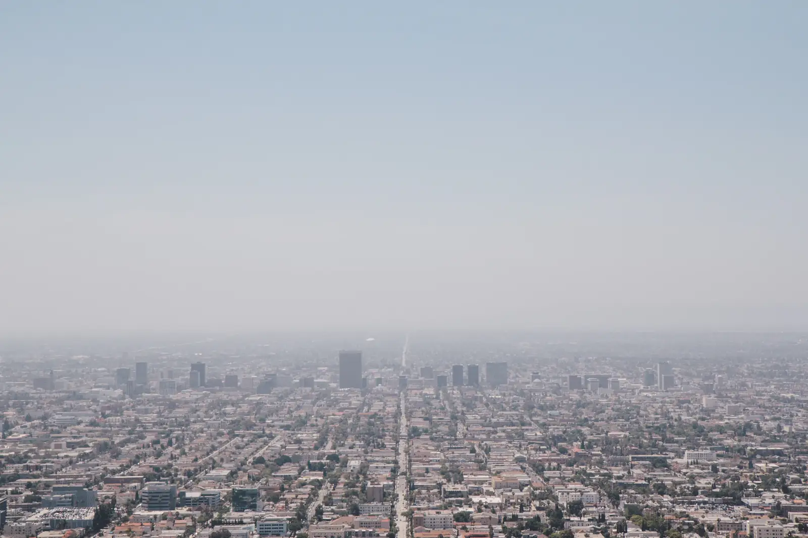 Los Angeles landscape