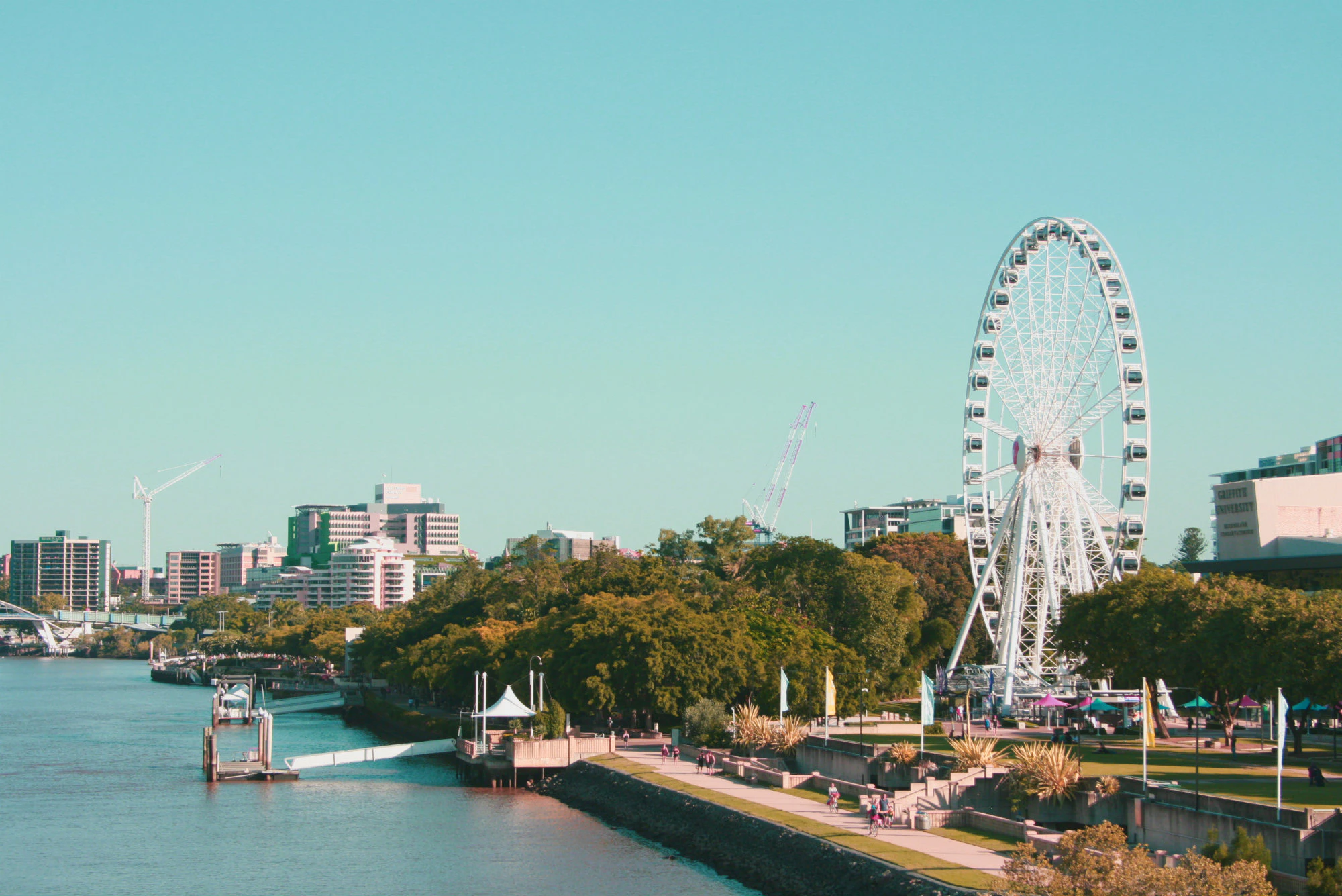 Brisbane landscape