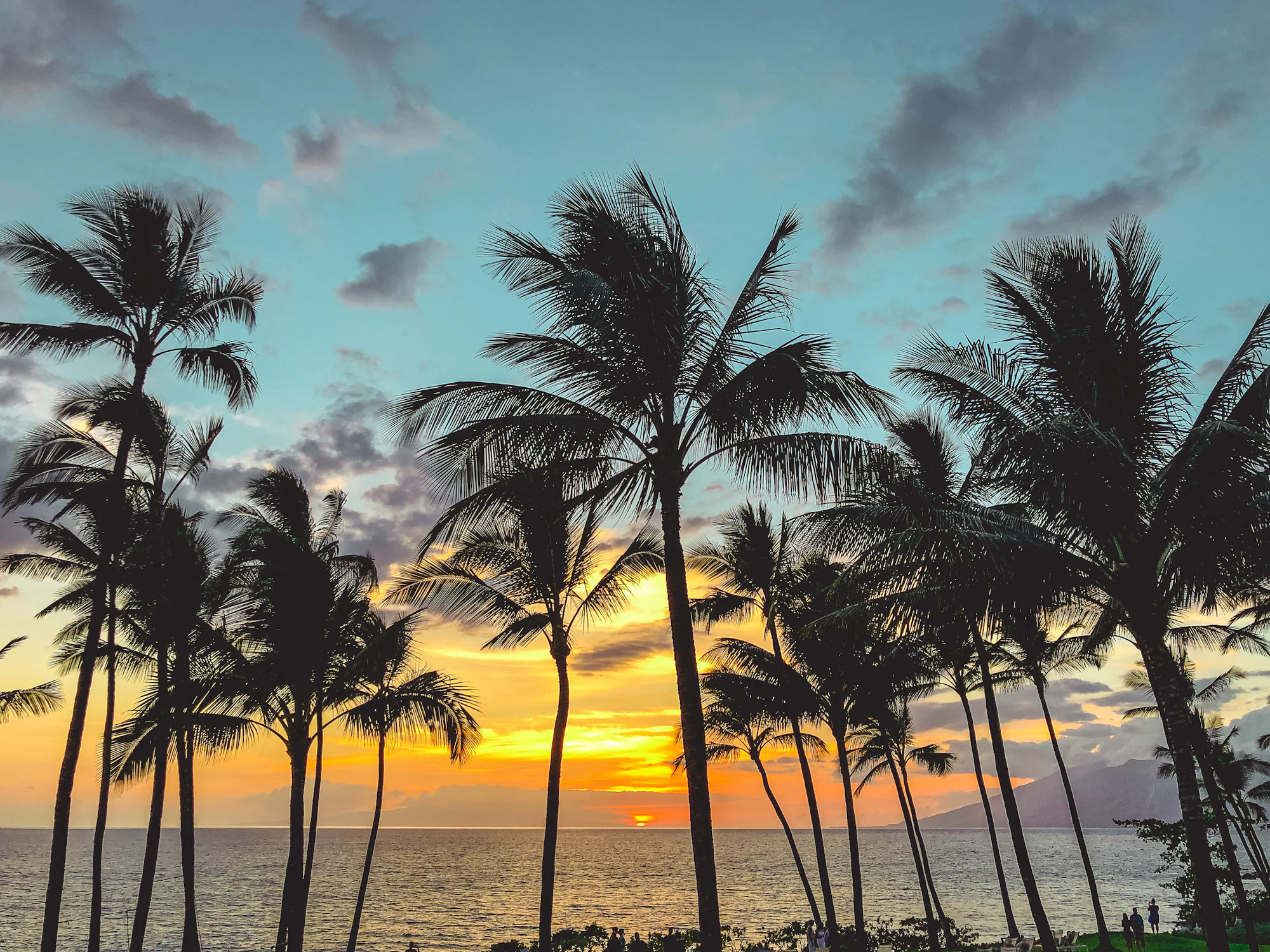 Hawaii landscape