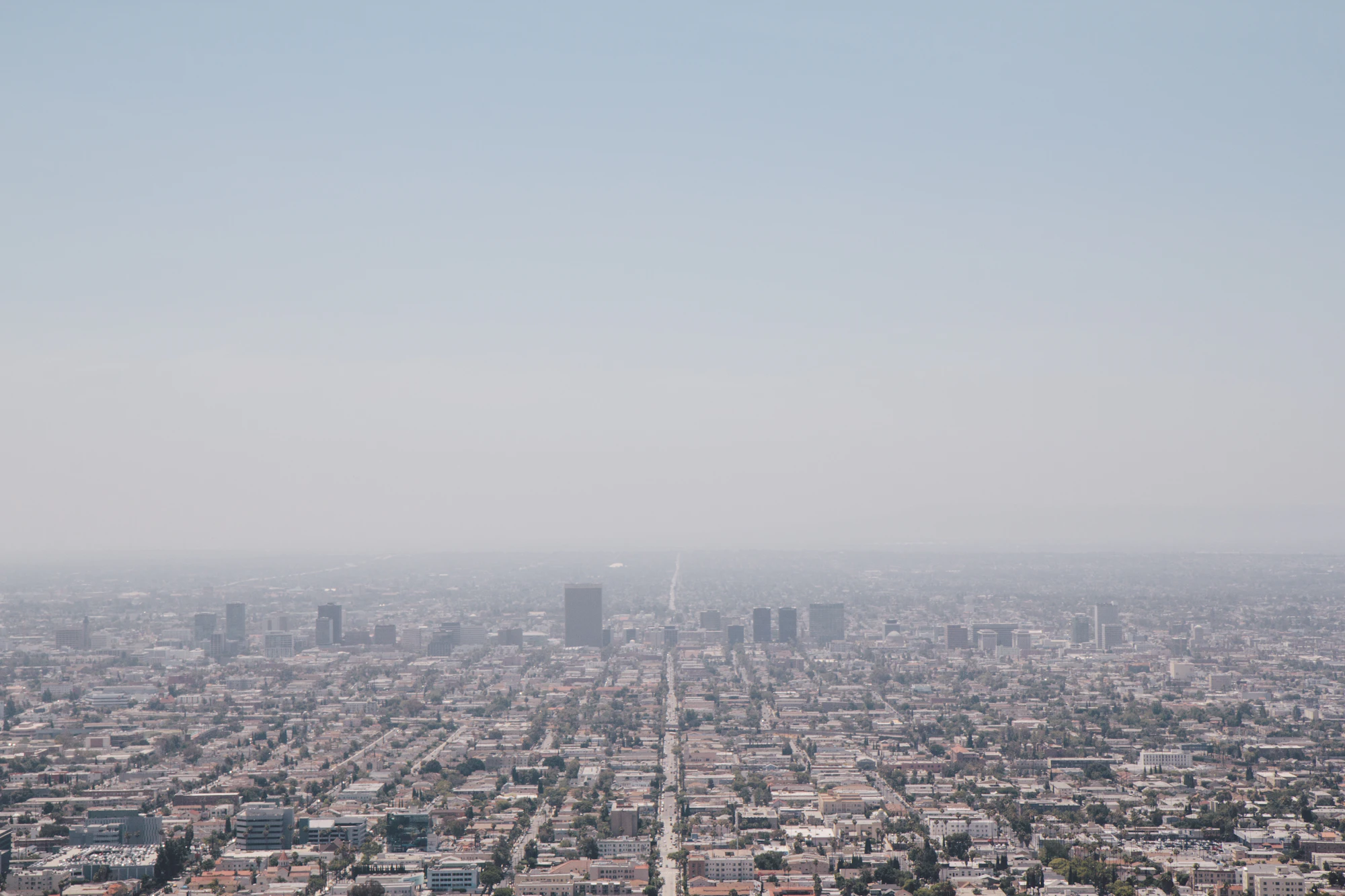 Los Angeles landscape