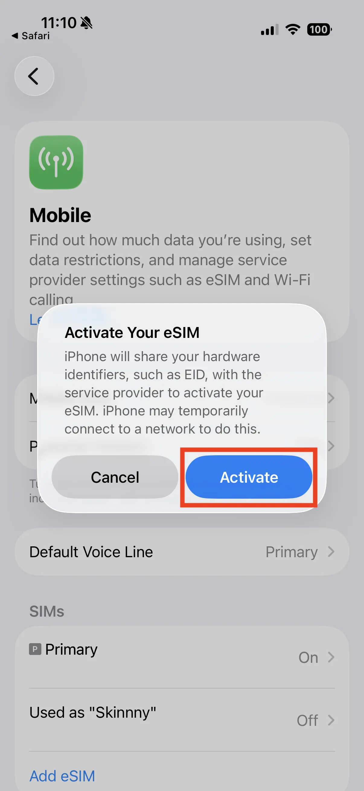 The Activate eSIM dialog in iPhone Settings