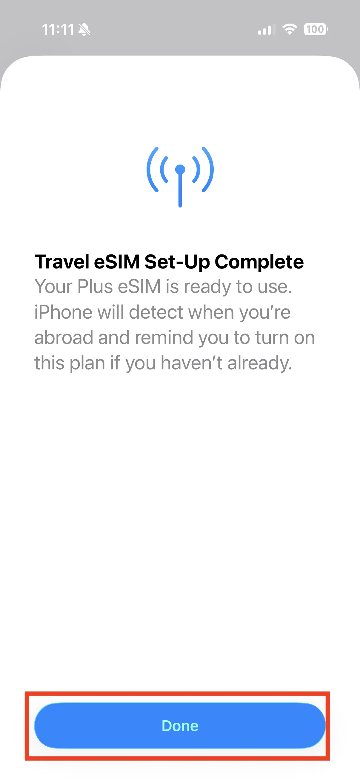 The eSIM activation success screen