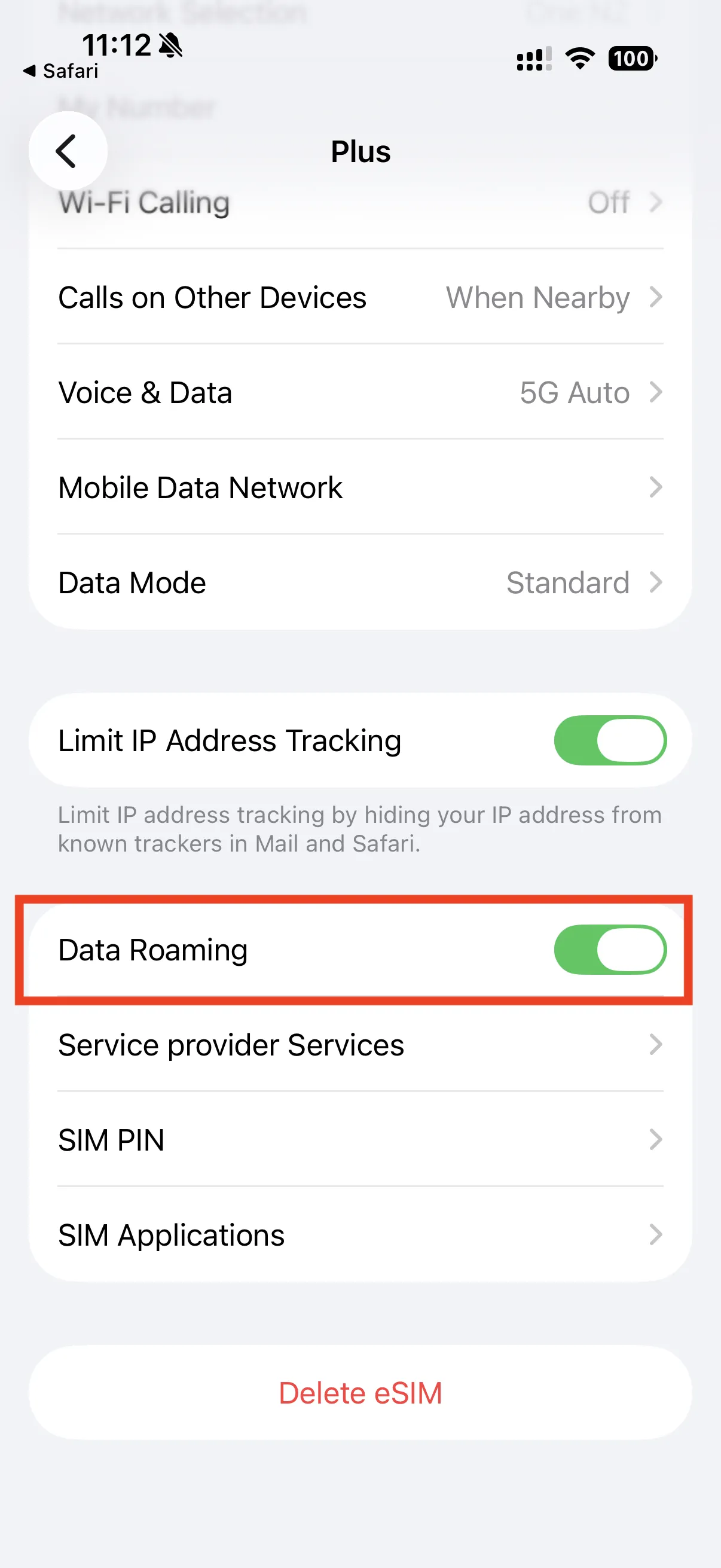The Data Roaming toggle switched on