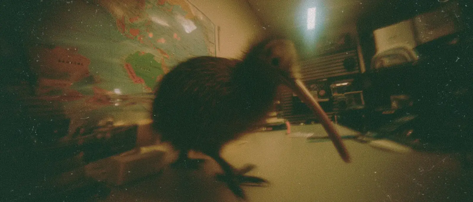 A kiwi bird in front of a world map
