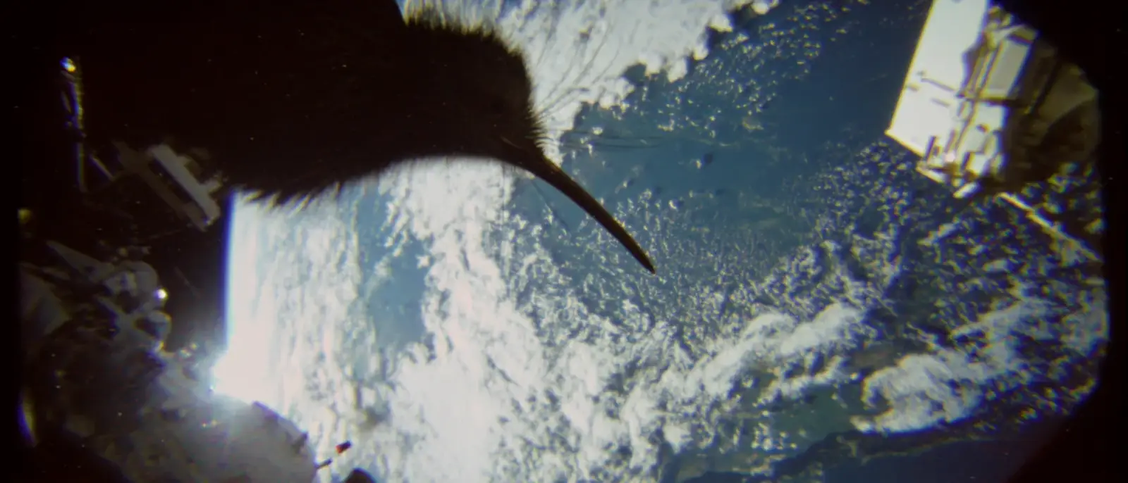 The Earth seen from space